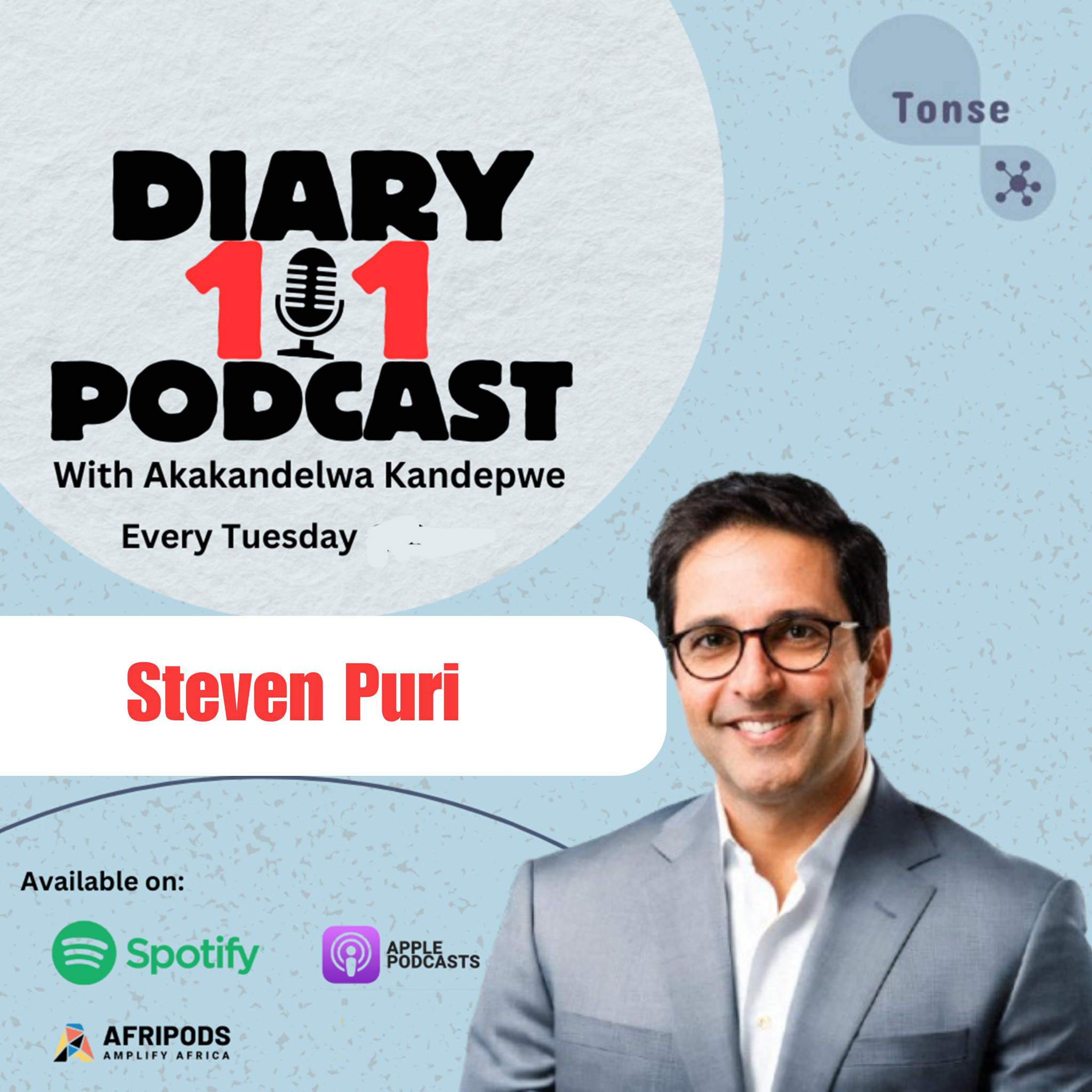 Diary 101 podcast with Steven Puri on productivity